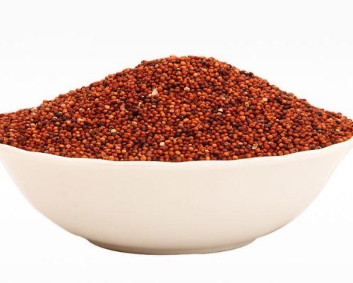 Finger Millet Ragi