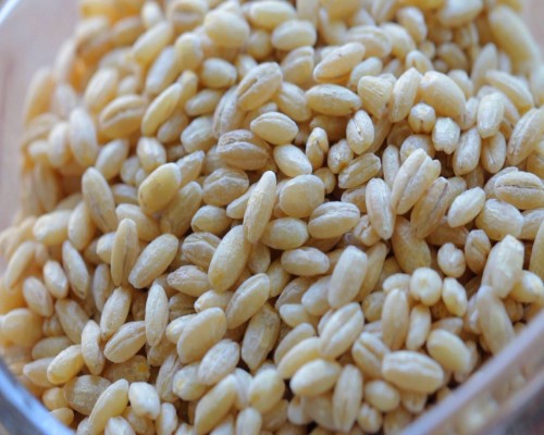 Barley-Rice-Wholesale-Chennai
